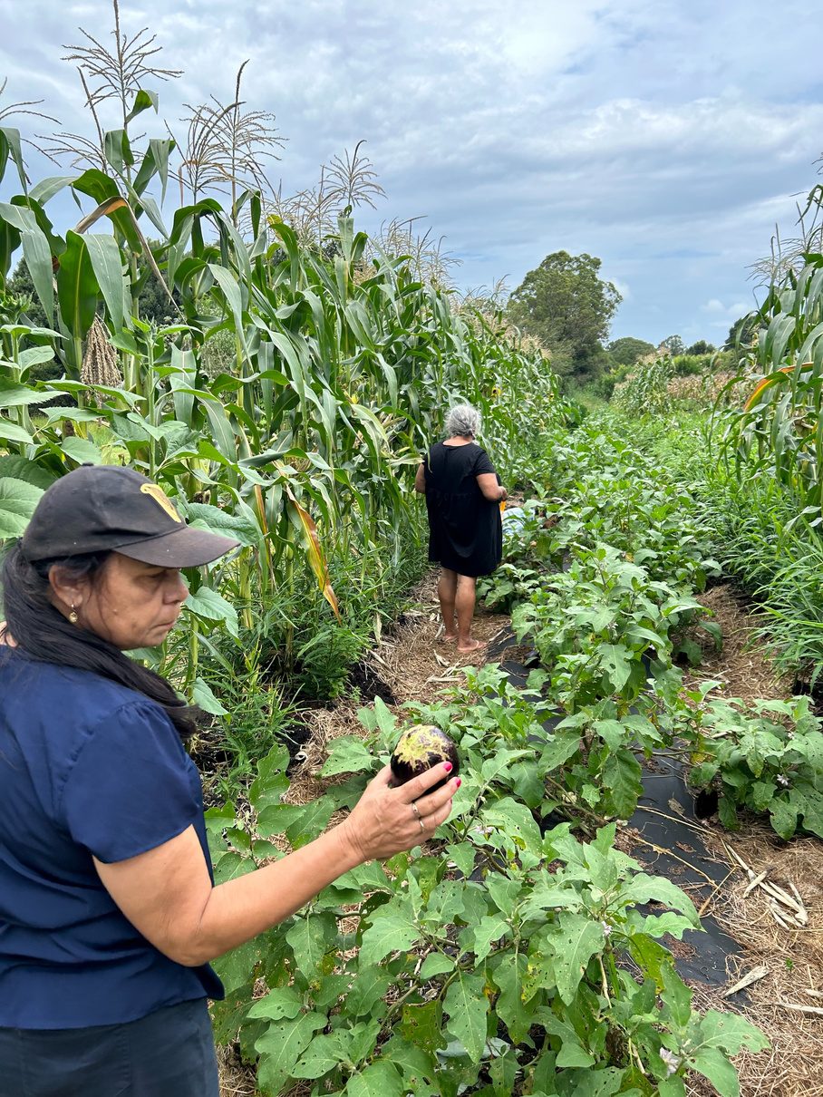 Namabunda Farm gardens
